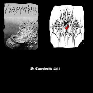 GasKrieg & Aryan Supremacy - In Comradeship (2011)
