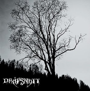 Drapsnatt - Skelepht (2012)