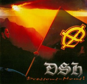 Division Skinhead (DSH) - Dressons-nous! (2001)