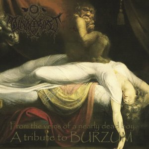 Minneriket ‎– From The Veins Of A Nearly Dead Boy - A Tribute To Burzum (2017)