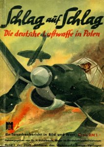 Schlag auf Schlag: Die Deutsche Luftwaffe in Polen