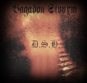 Bagadou Stourm & DSH - Live