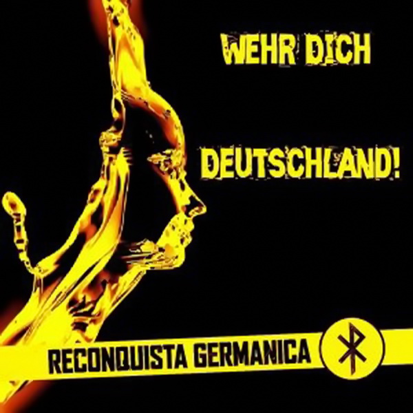 Reconquista Germanica Discord Link