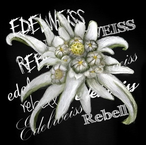 Edelweiss - Rebell (2021)