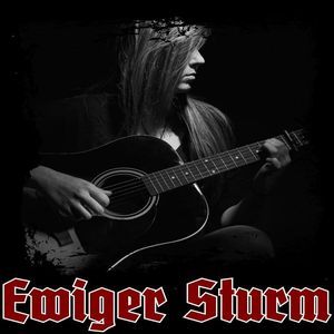 Ewiger Sturm - Compilation vol. 2 (2022)