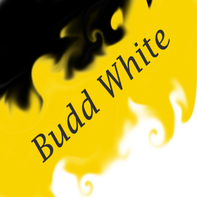 Budd White - Tracks (2010-2011)