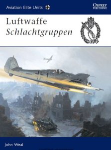 Luftwaffe Schlachtgruppen (Osprey Aviation Elite Units 13)