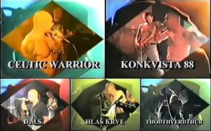 Celtic Warriors, Konkwista 88, Hlas Krve, D.M.S. & Thodthverdthur - Live in Slovakia (DVDRip)