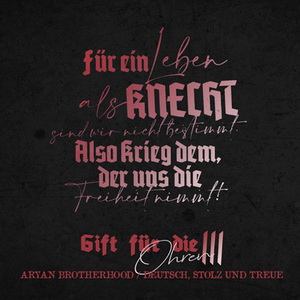 Aryan Brotherhood & D.S.T. - Gift Für Die Ohren III (2023)