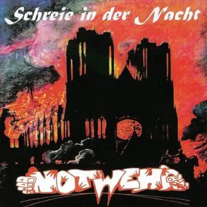 Notwehr - Schreie in der Nacht (1998)