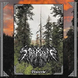 Sturmgraf - Bluterbe (2025)